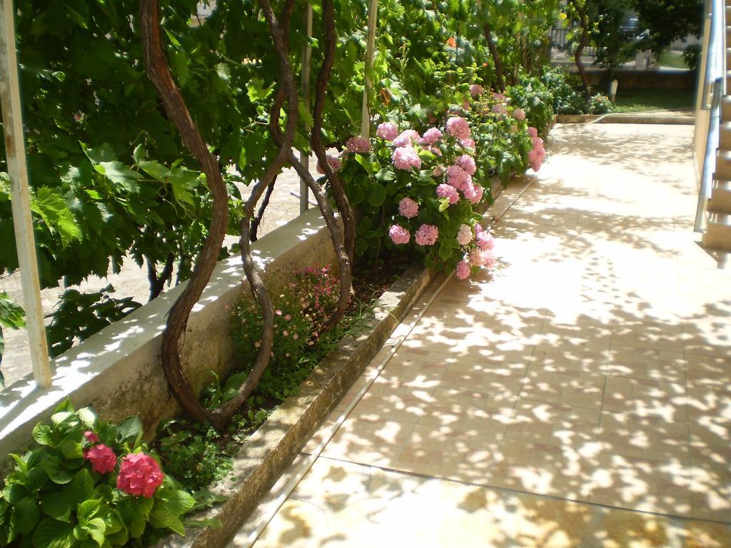 Apartments Tare, Free Parking Vodice Ruang foto