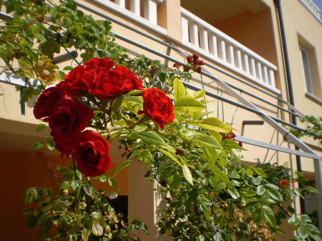 Apartments Tare, Free Parking Vodice Ruang foto